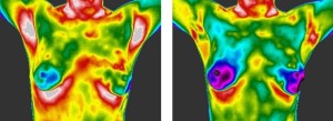 Read more about the article Lowered Risk in 4 Months – Seeing is Believing