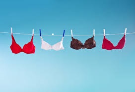 Does Wearing a Bra Make Your Breasts Sag?  Office for Science and Society  - McGill University