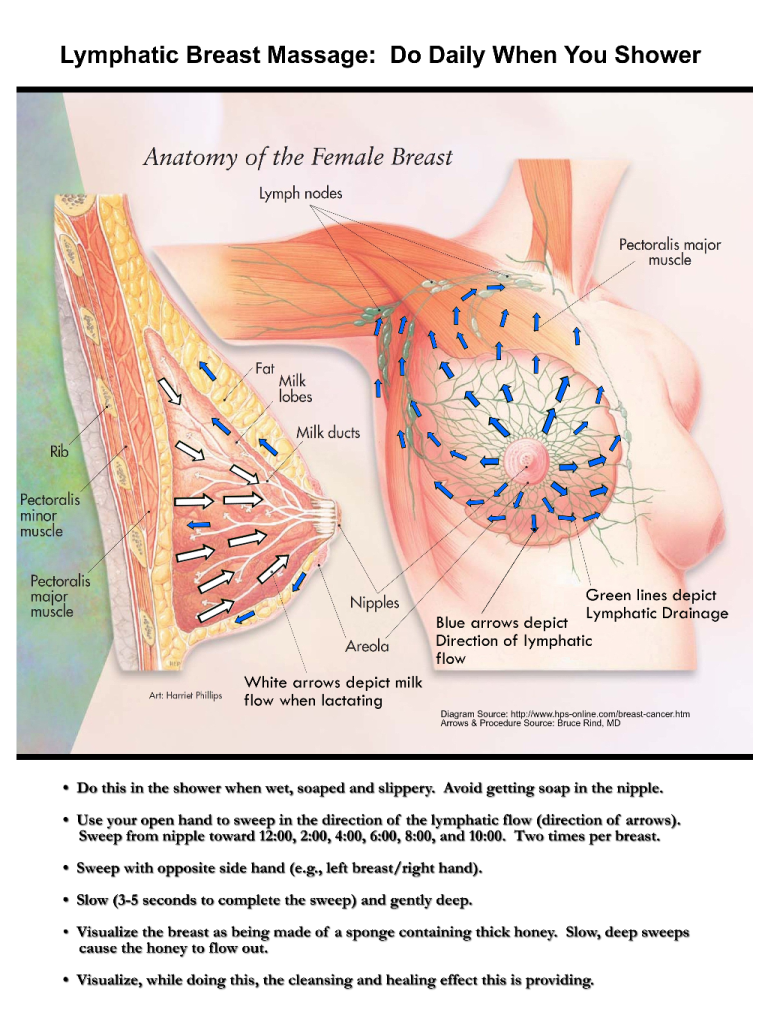 Diagram of Breast Lymphatic Massage